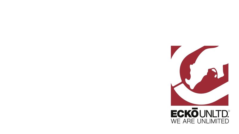 Logo with Globe Design