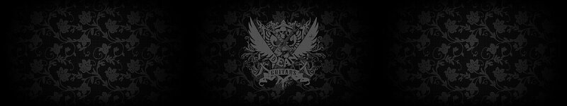 Logo with Wings and Skull — Black