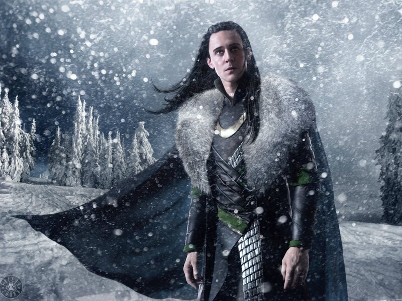 Loki in a snowy forest