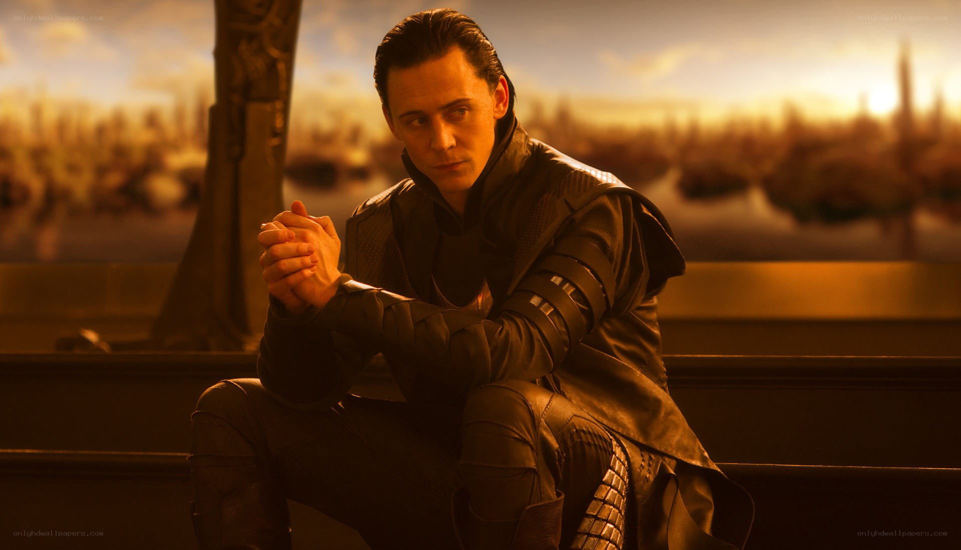 Loki sitting in golden light