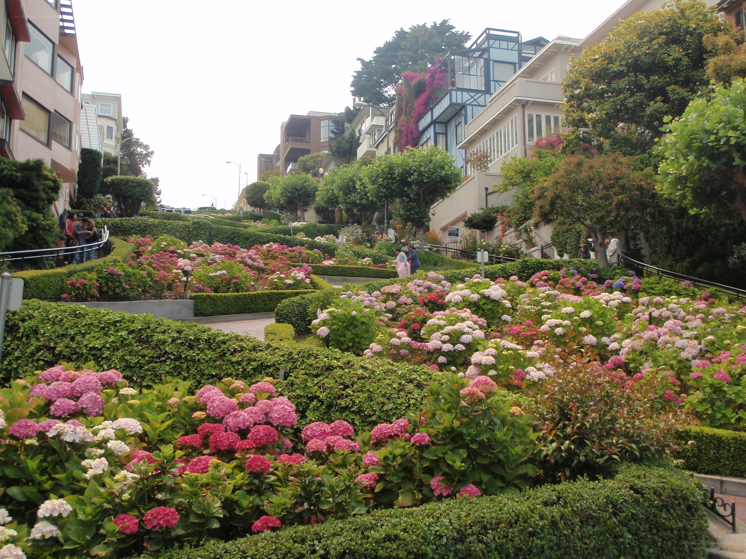 Lombard Street flower garden