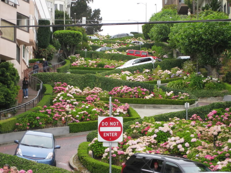 Lombard Street Flowers