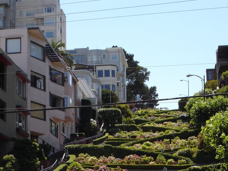 Lombard Street Garden — Green
