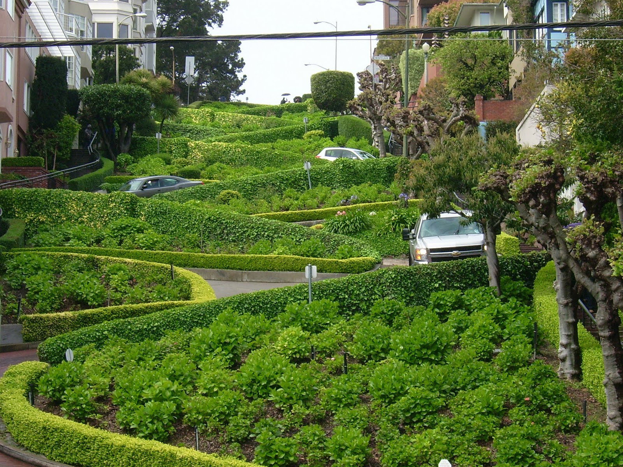 Lombard Street winding garden