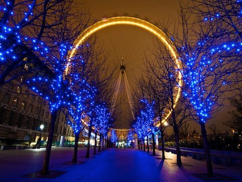 London Eye at Night — Blue, Festive, Photograph, Trees, Lights