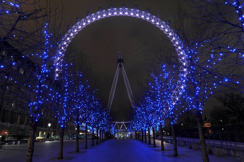 London Eye at Night — Blue, Serene, Photograph, Trees, Lights, Pavement, Black