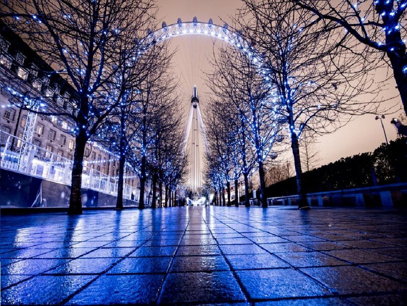 London Eye at Night — Blue, Serene, Photograph, Trees, Lights, Pavement