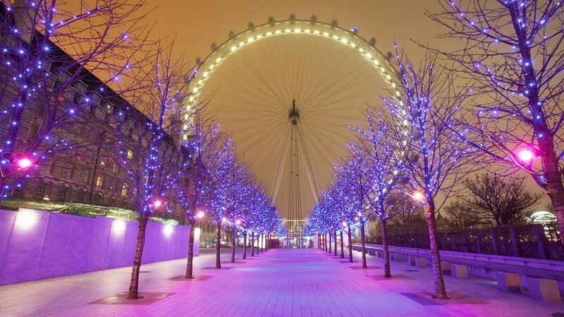 London Eye at Night — Purple, Festive, Photograph, Trees