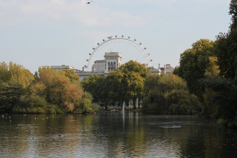 London Eye from Park