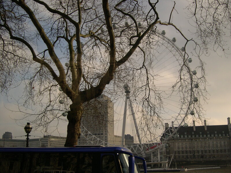 London Eye with bare tree