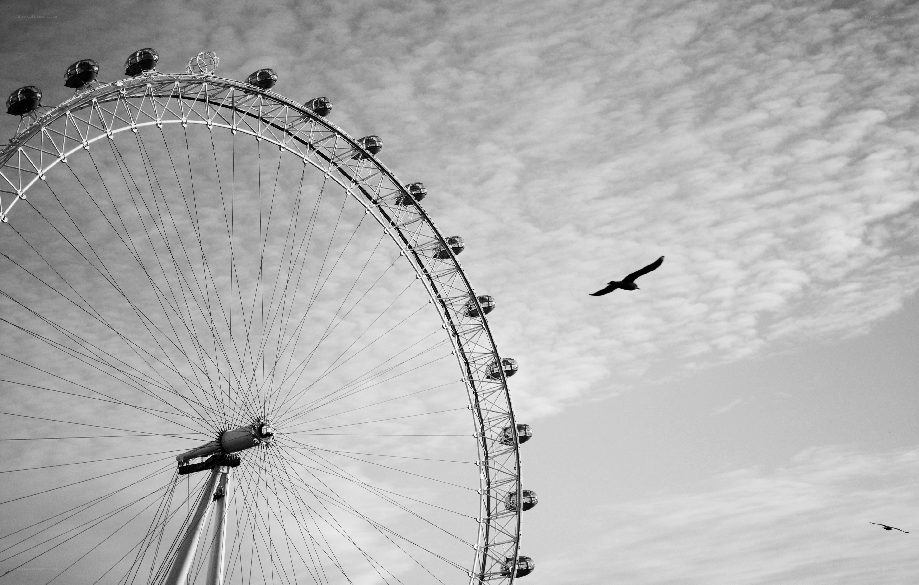 London Eye with birds