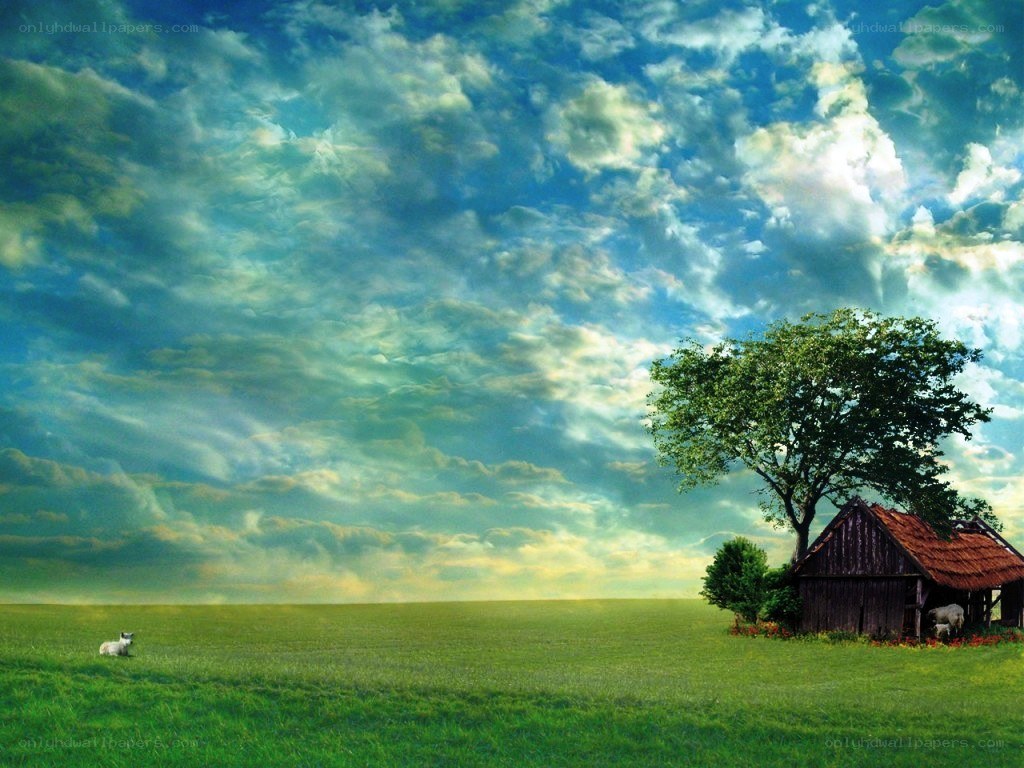 Lone cabin in a green field