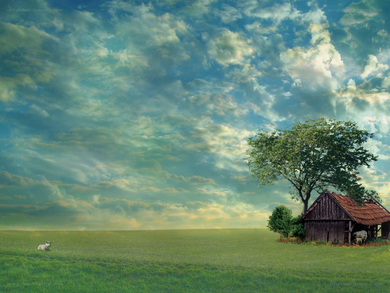 Lone cabin in a green field