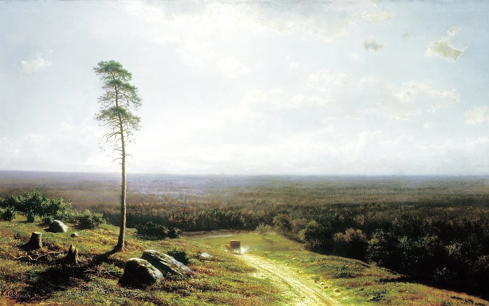 Lone Pine on a Hill