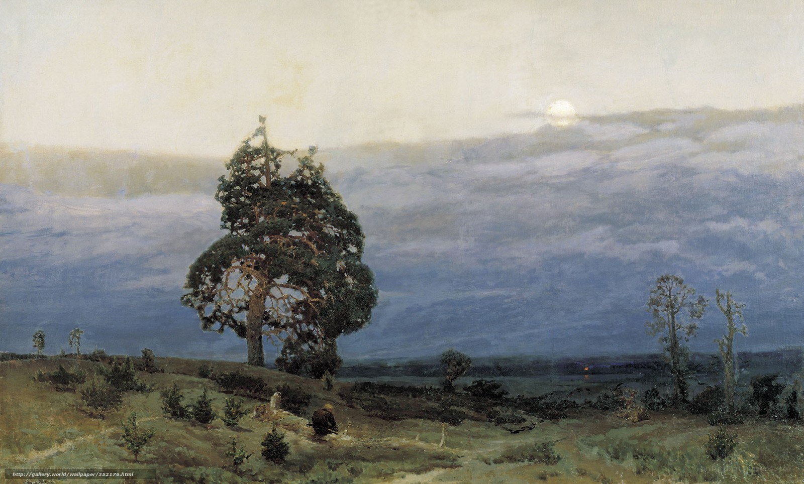 Lone Tree at Dusk