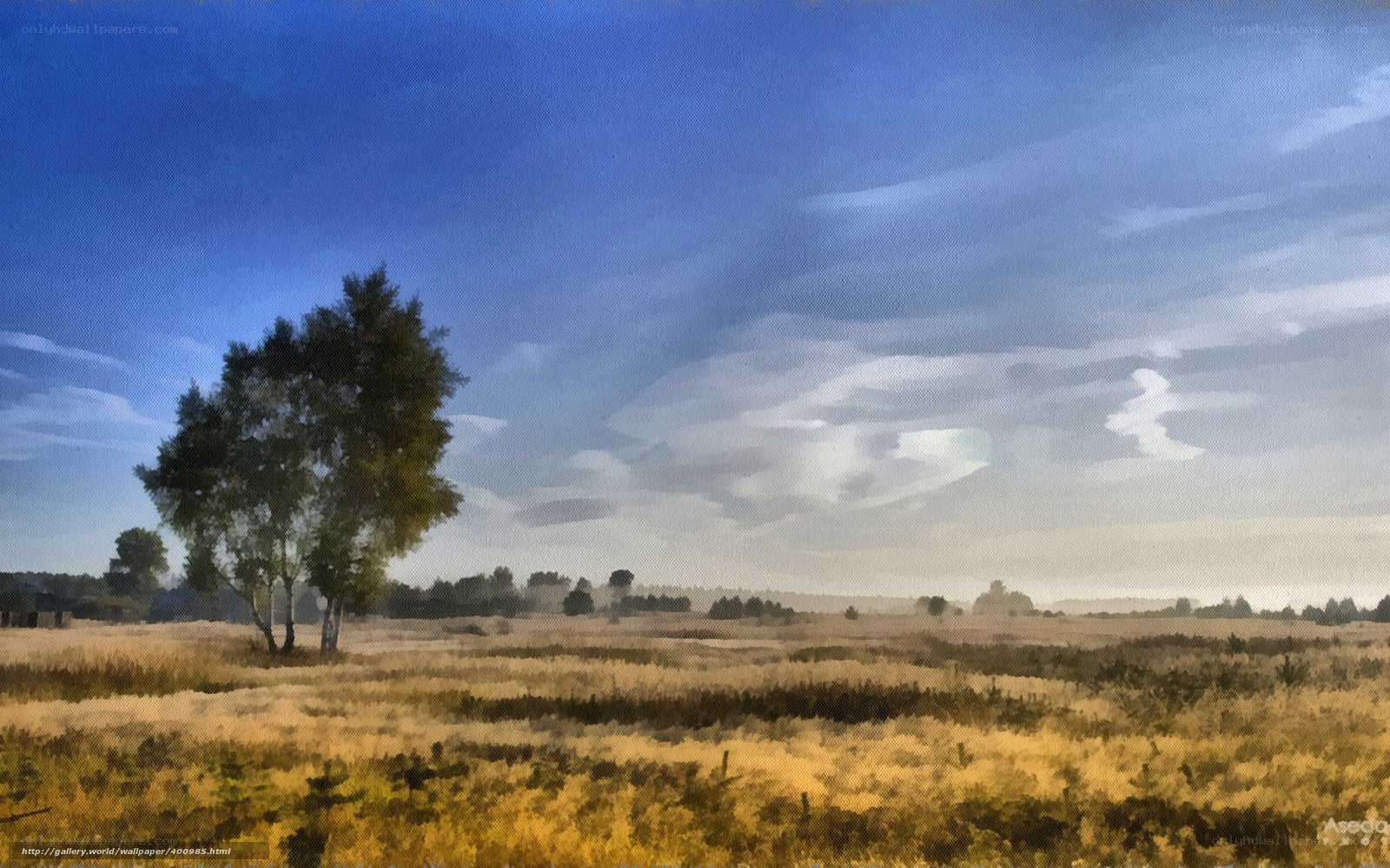 Lone tree in golden field