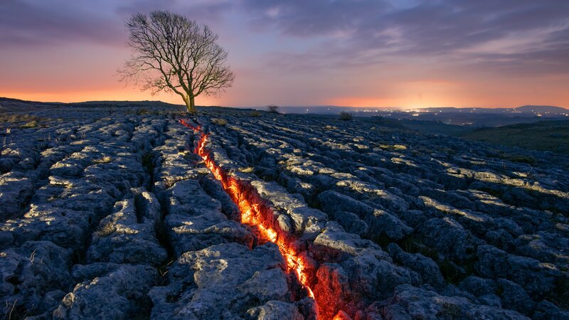 Lone Tree on Limestone