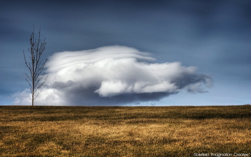 Lone tree under storm cloud