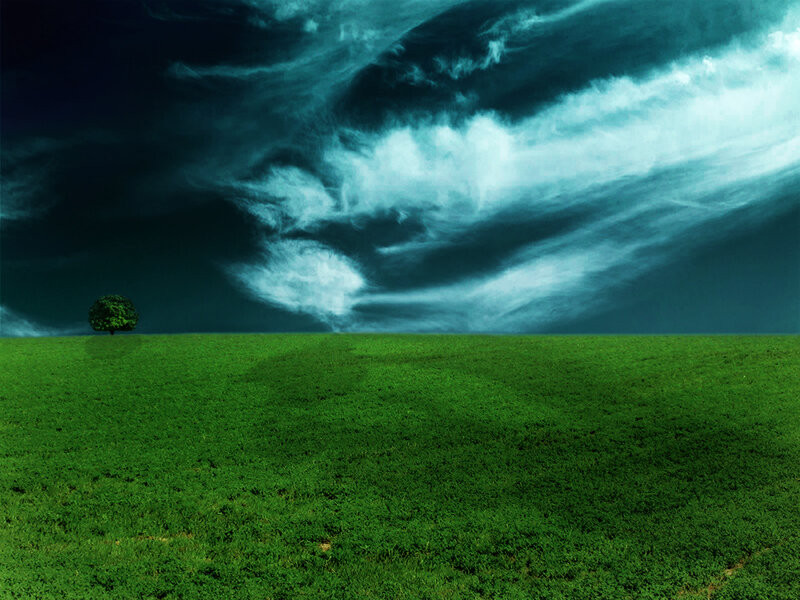 Lone tree under stormy sky