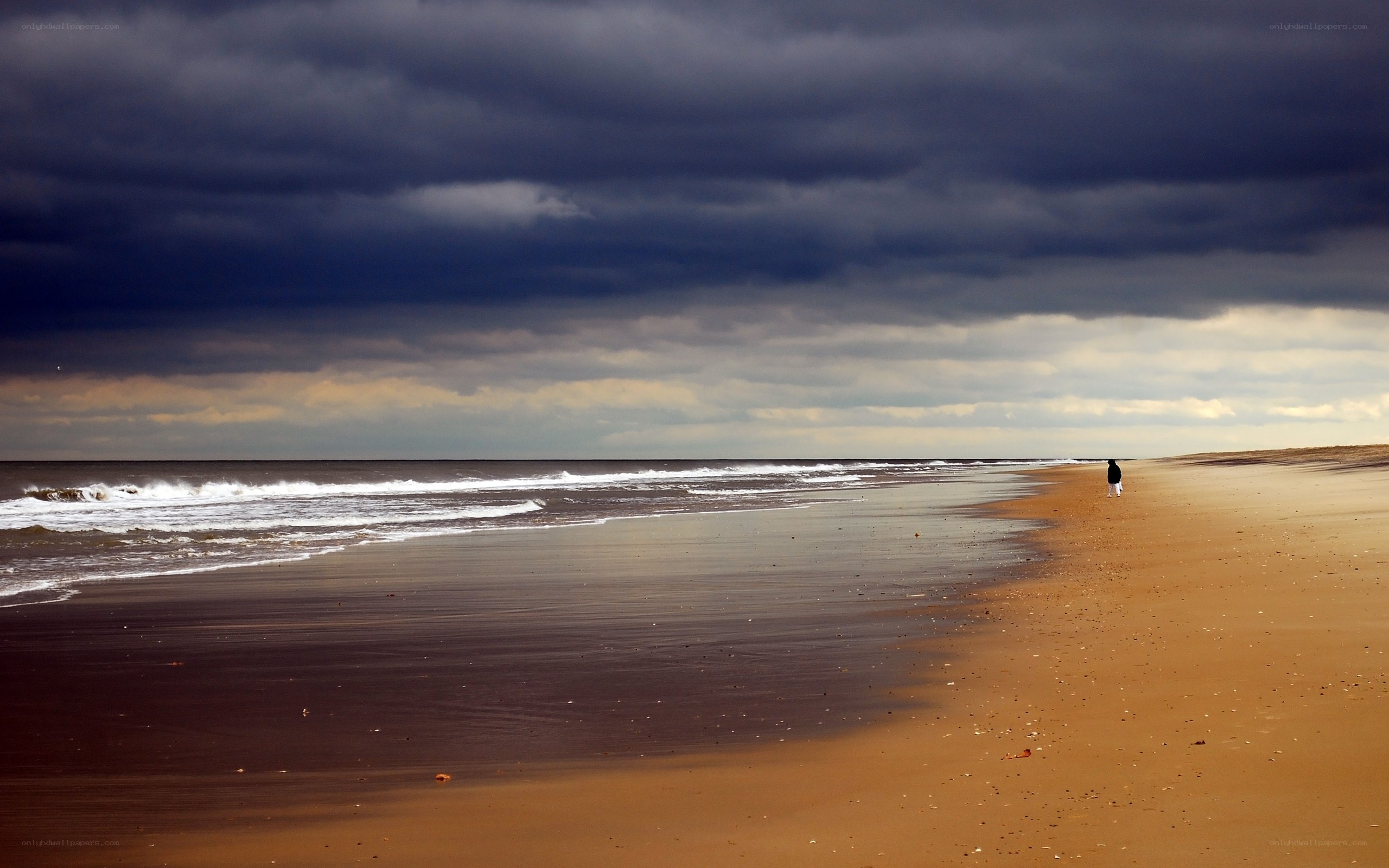lonely beach under stormy sky