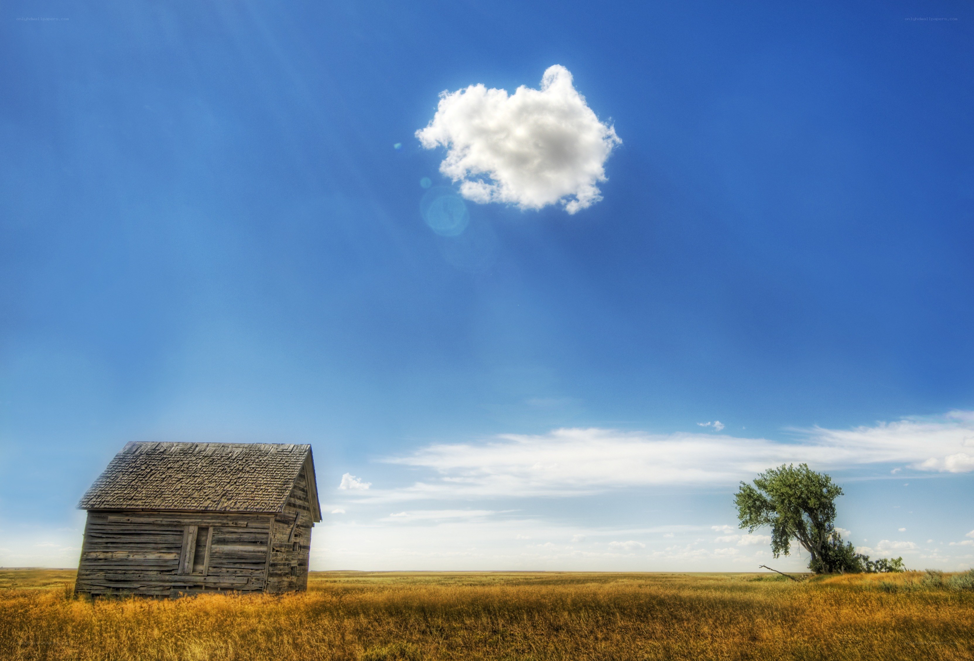 lonely cabin in a vast field