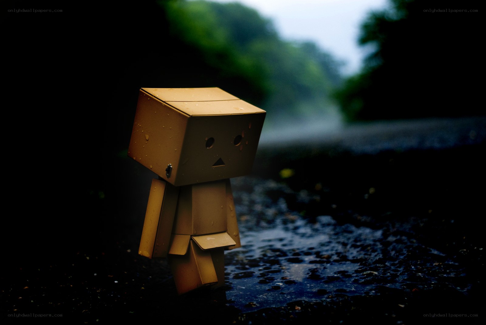 lonely cardboard figure in rain