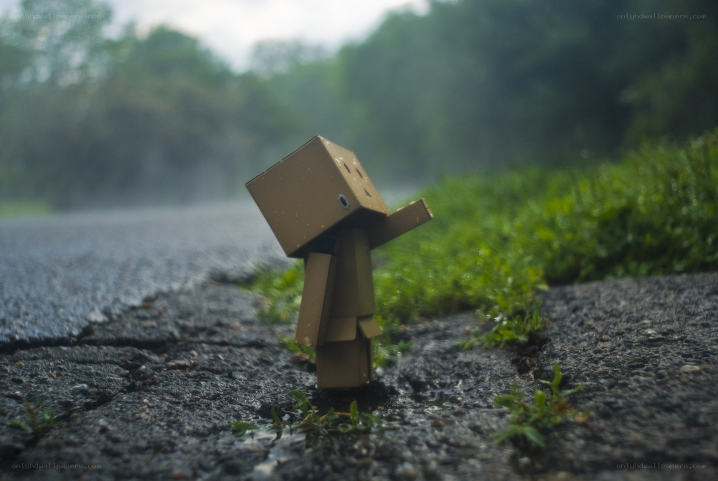lonely cardboard figure in rain