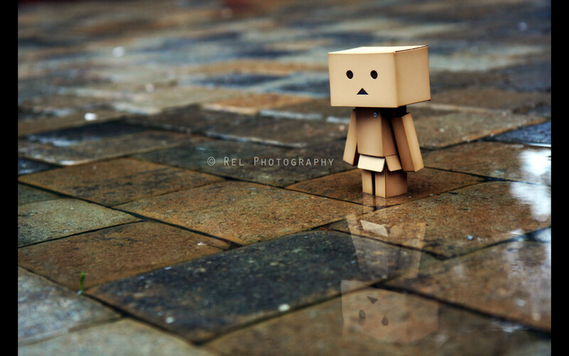 lonely cardboard figure on wet pavement