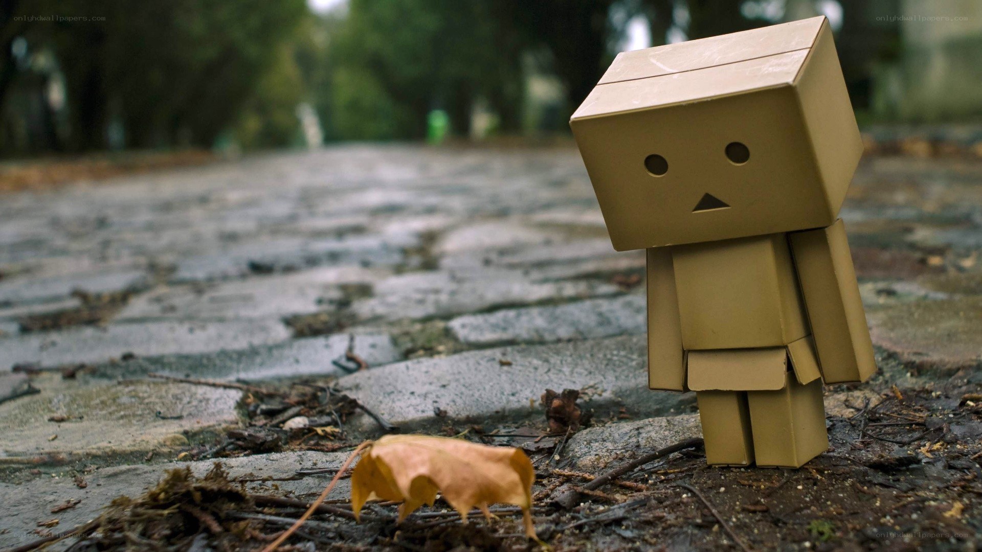 lonely cardboard robot figure