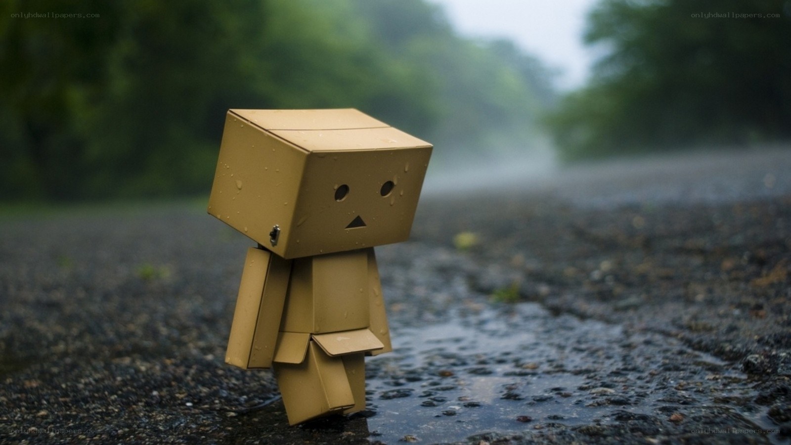 lonely cardboard robot in rain