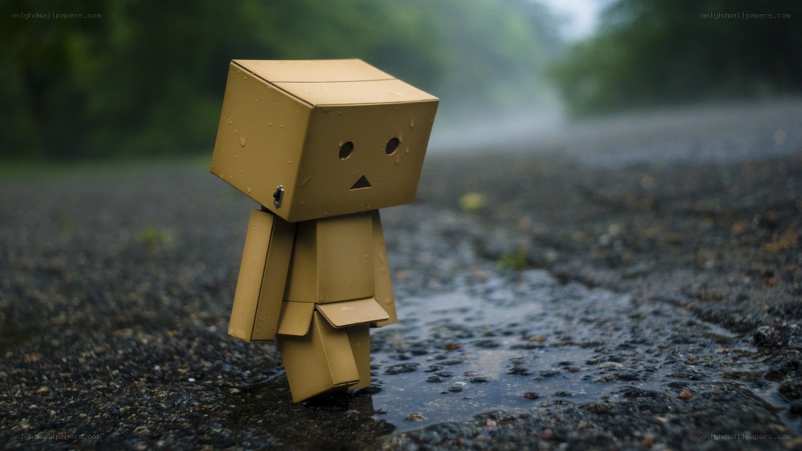 lonely cardboard robot in rain