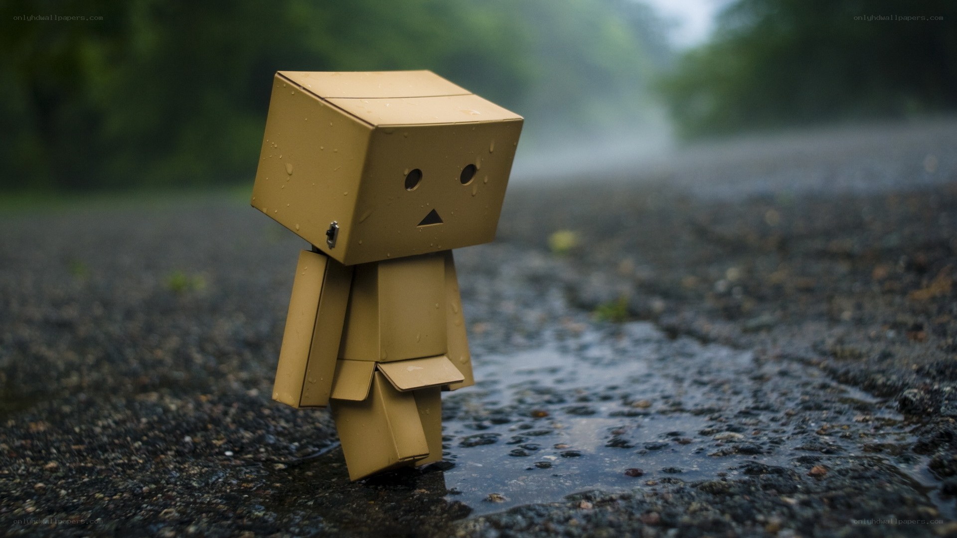 lonely cardboard robot in rain