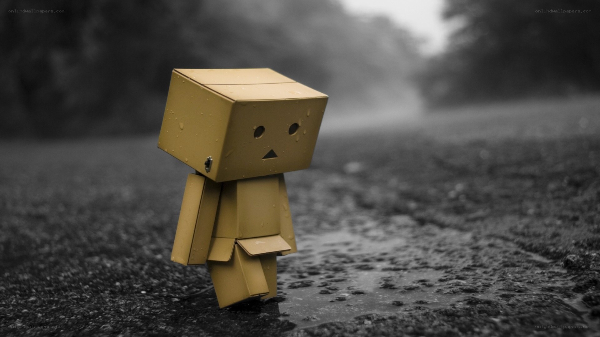 lonely cardboard robot in rain