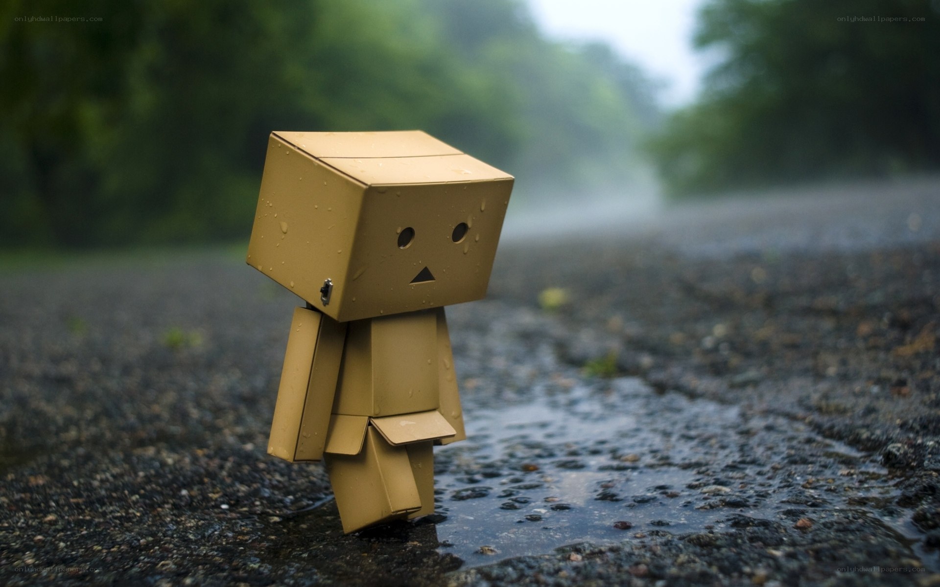 lonely cardboard robot in rain