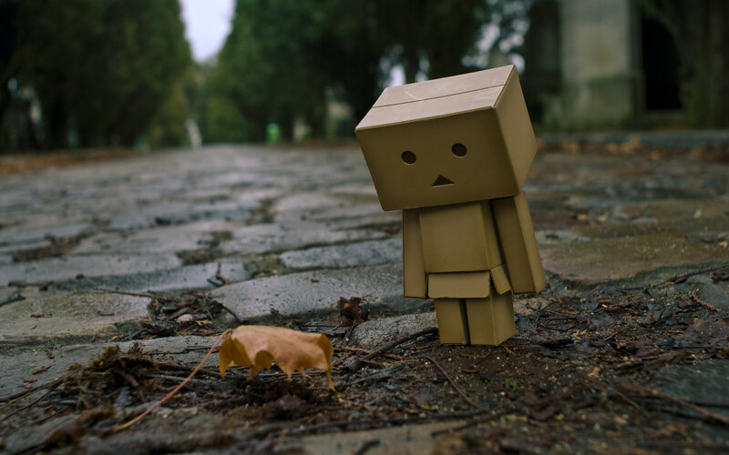 lonely cardboard robot on path