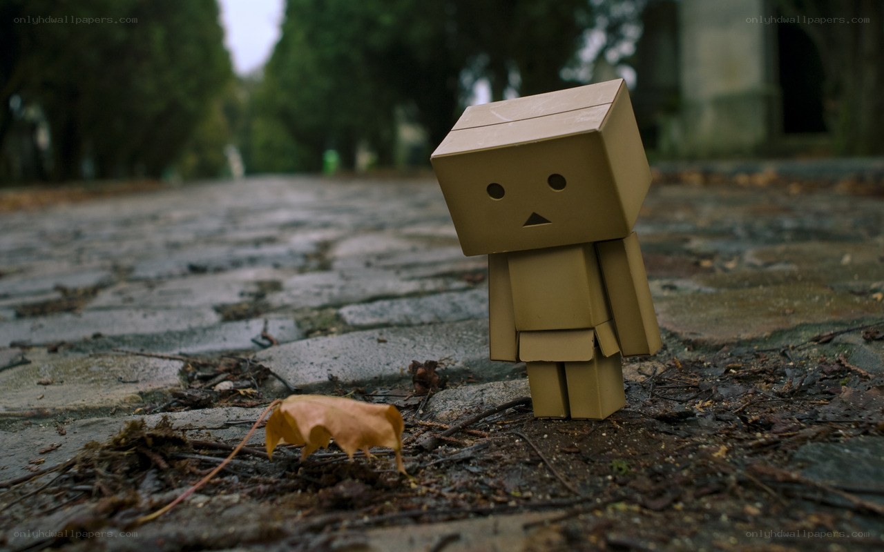 lonely cardboard robot on path
