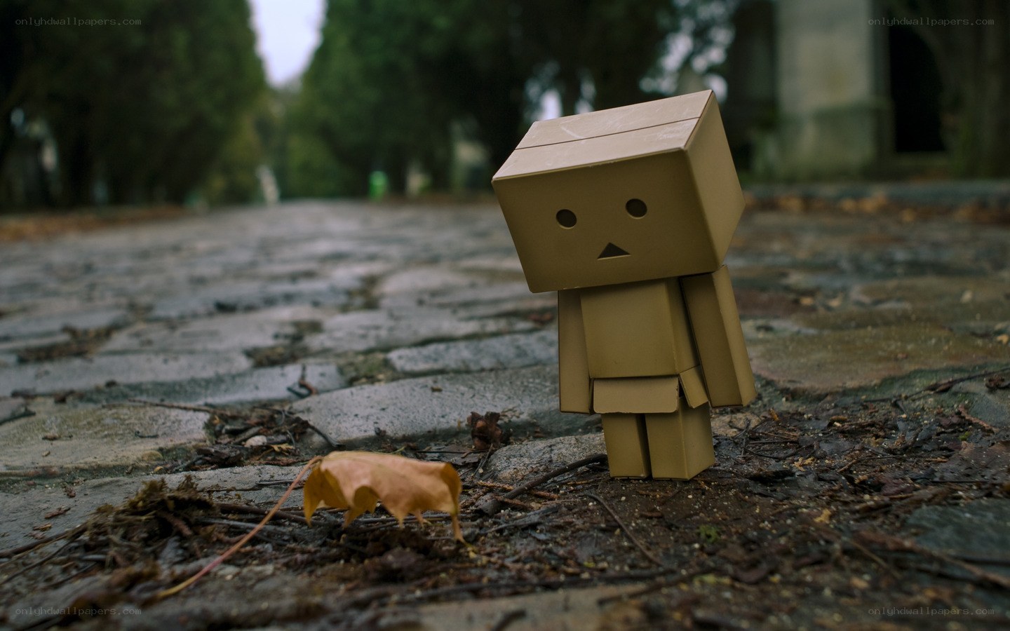 lonely cardboard robot on path