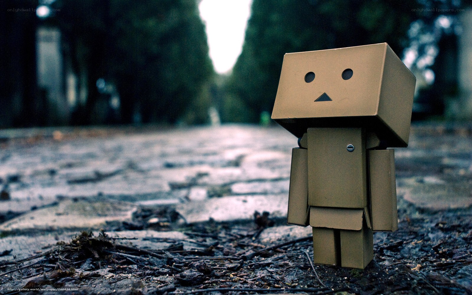 lonely cardboard robot