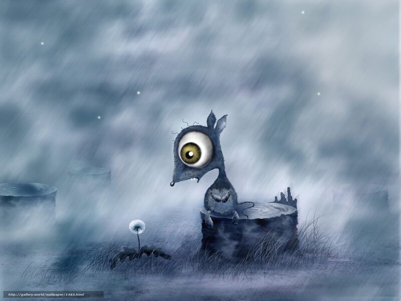 lonely creature in the rain