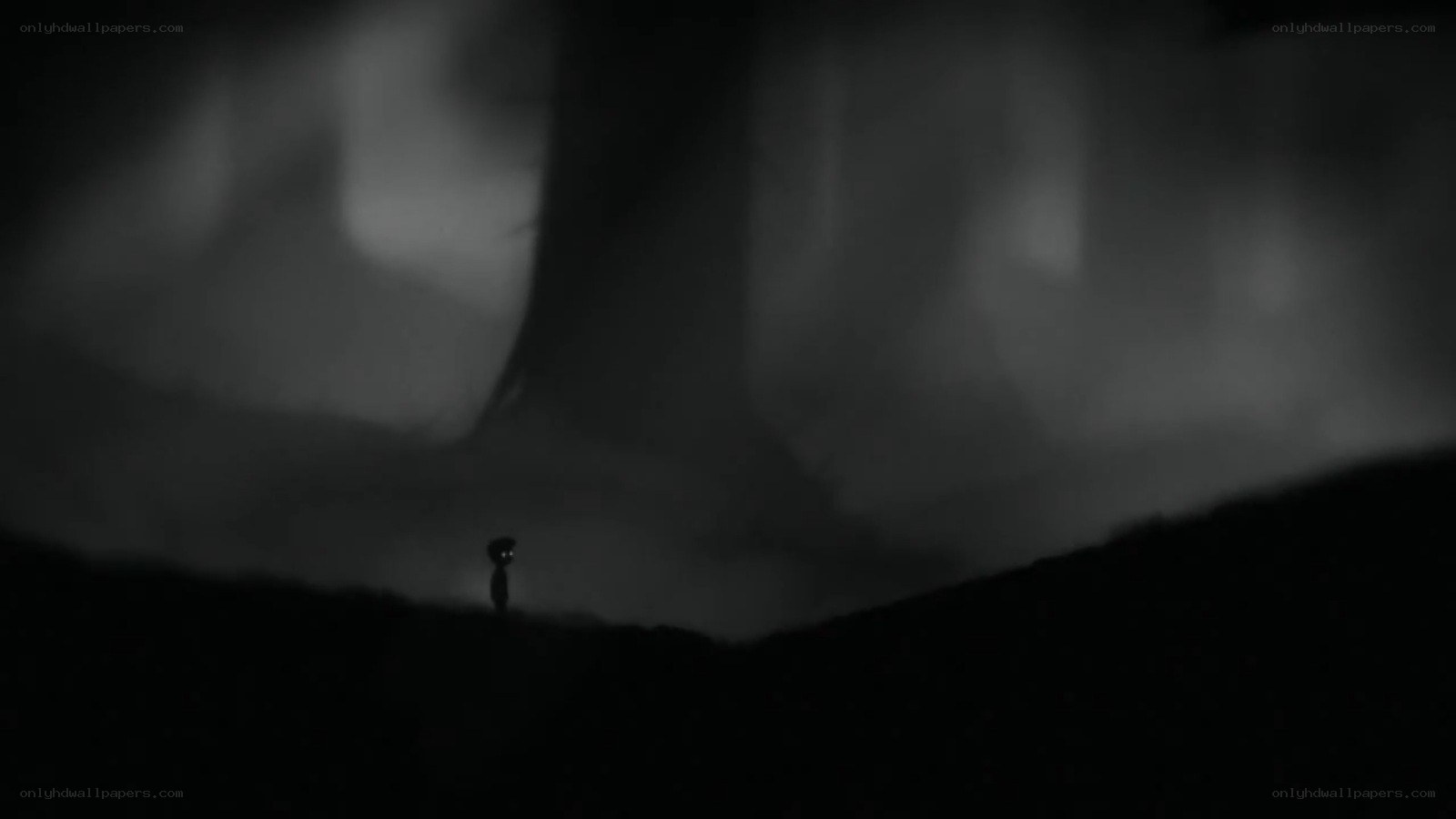 lonely figure in dark forest