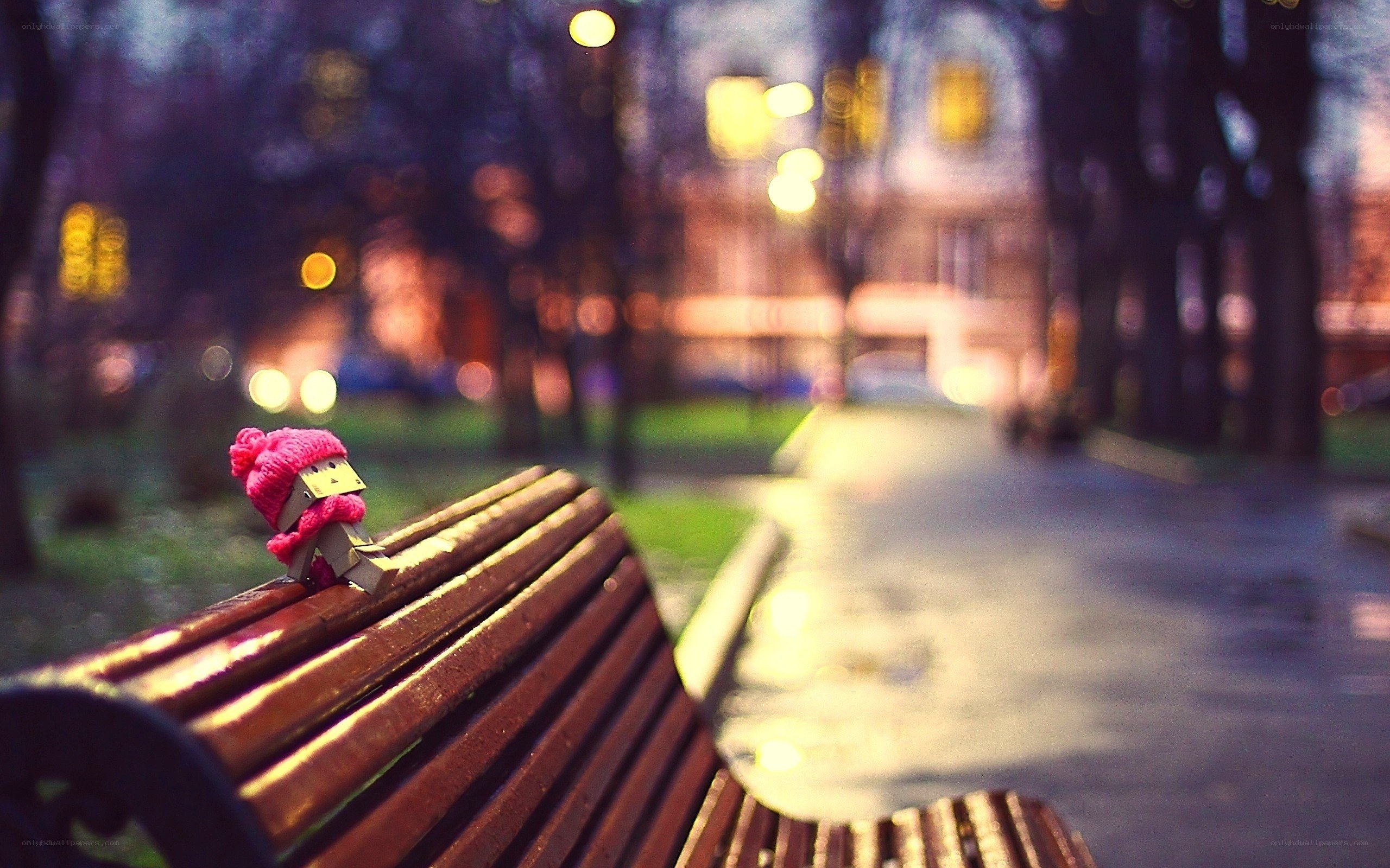 Lonely figure on a park bench