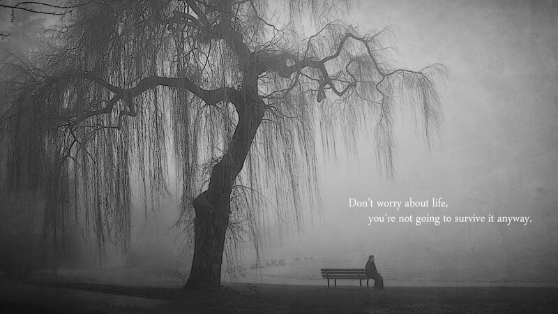 lonely person under willow tree