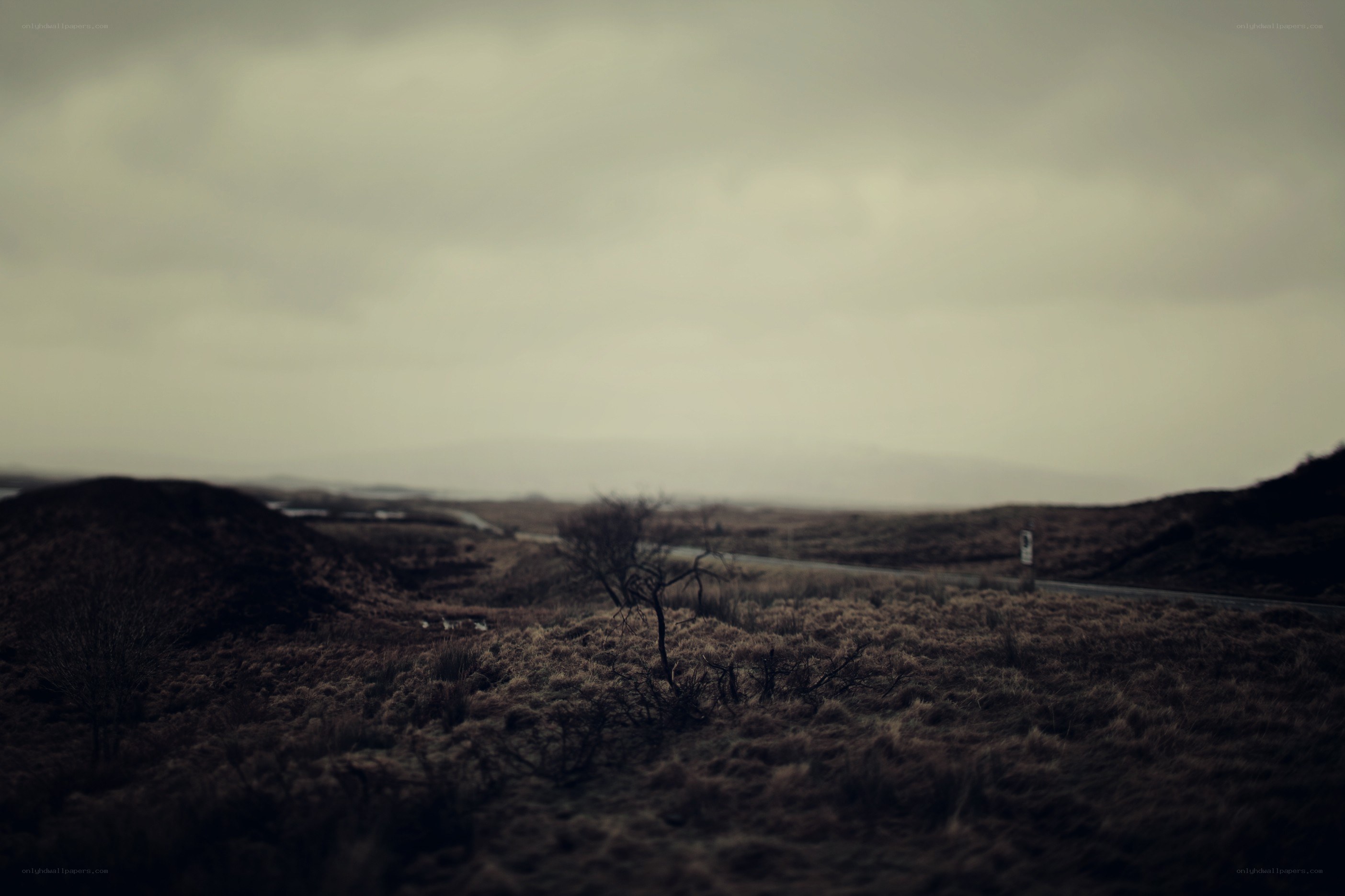 lonely road in misty landscape