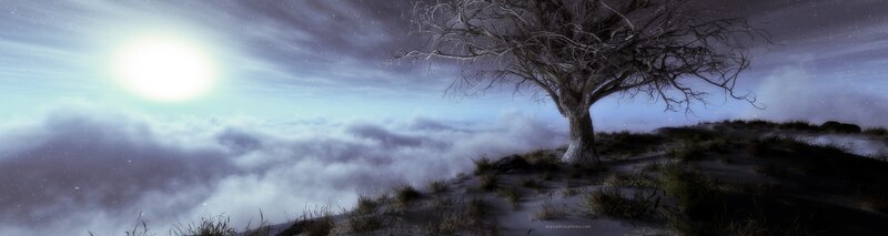 lonely tree above clouds