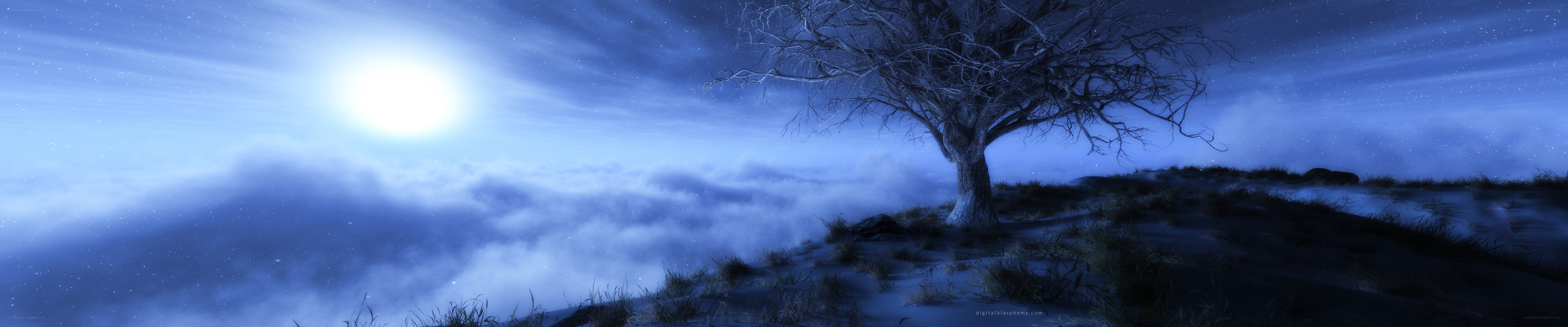lonely tree above clouds