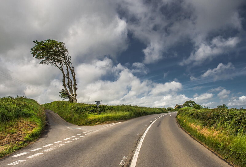Lonely Tree at Crossroads