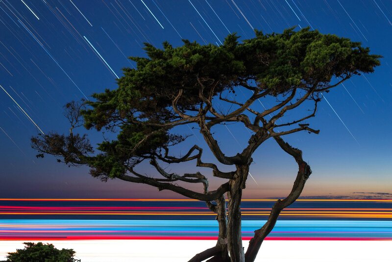 Lonely Tree at Night