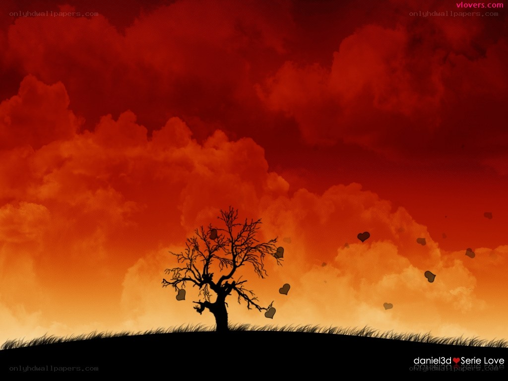 lonely tree at sunset