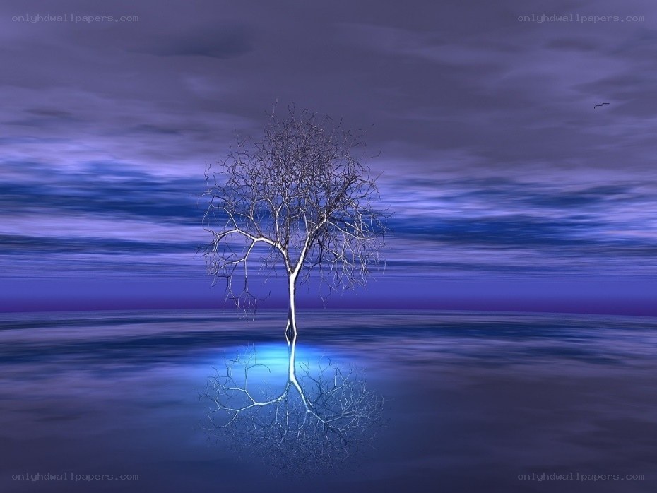 lonely tree in blue water