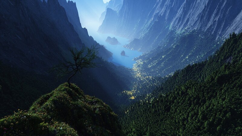 Lonely Tree in Canyon